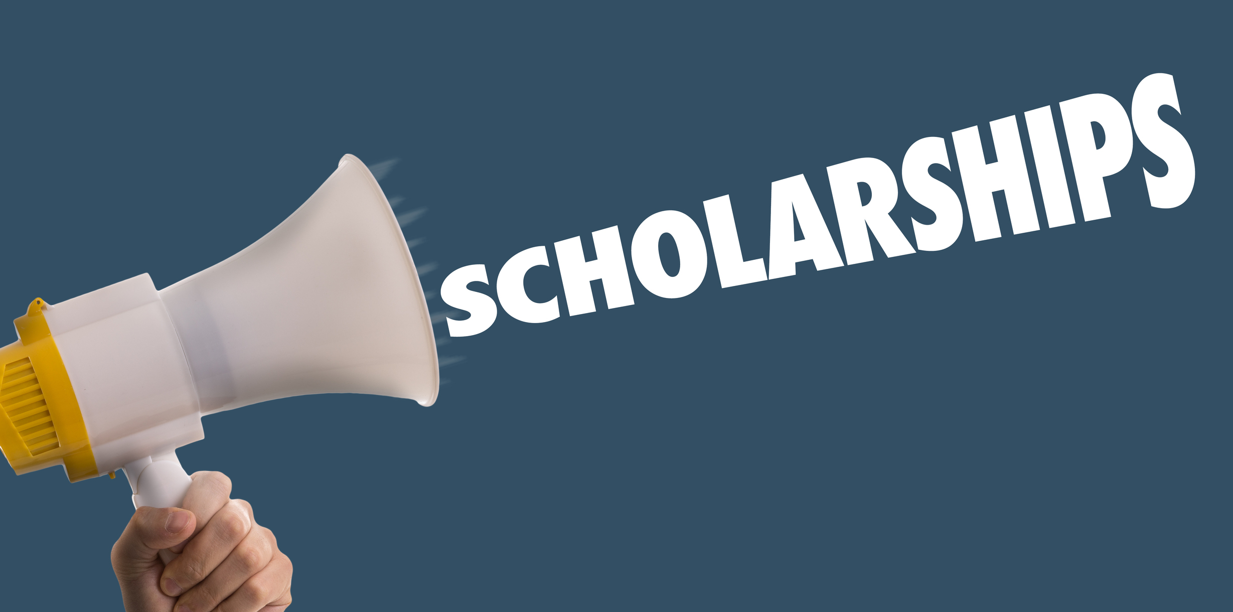 Naturals Training Scholarships Awarded Naturals Training Scholarships Awarded Image