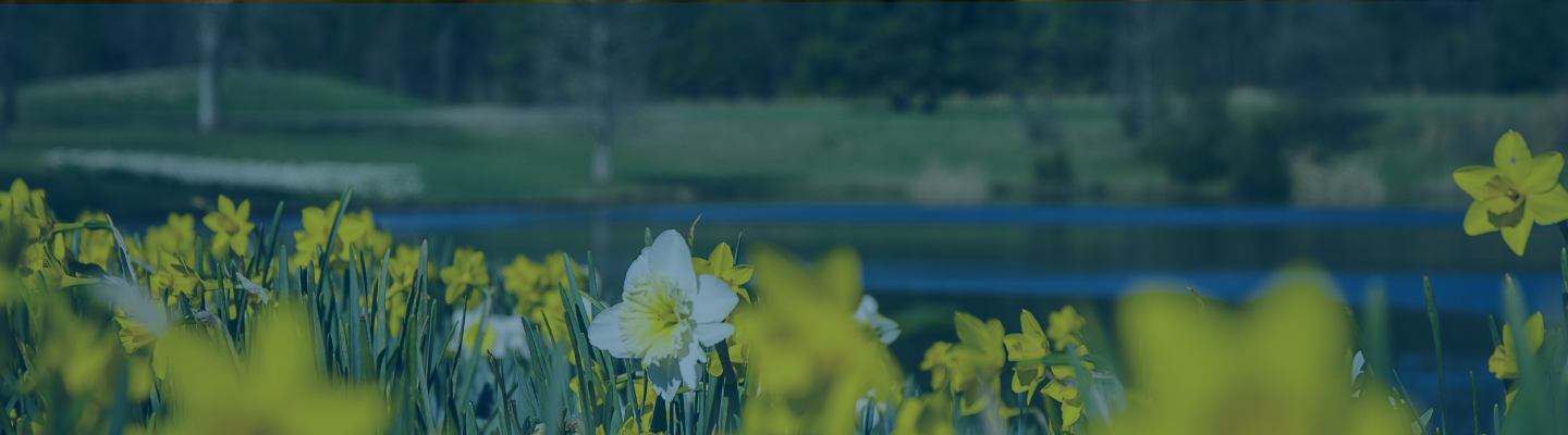 Sustainability Banner